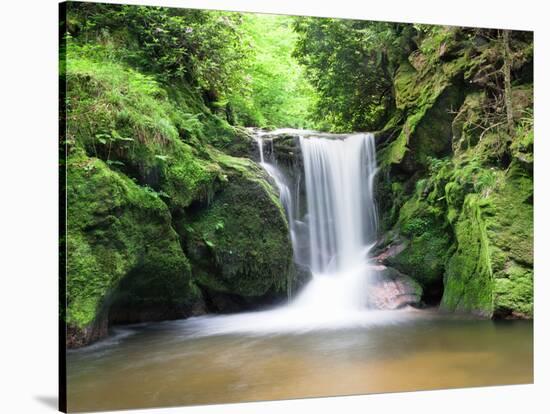 Water in a Forest, Geroldsau Waterfall, Black Forest, Baden-Wurttemberg, Germany-null-Stretched Canvas