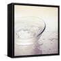 Water in a Glass Bowl-Myan Soffia-Framed Stretched Canvas