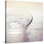 Water in a Glass Bowl-Myan Soffia-Stretched Canvas