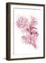 Water Inked Florals Blush-OnRei-Framed Art Print