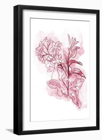 Water Inked Florals Blush-OnRei-Framed Art Print