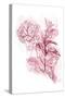 Water Inked Florals Blush-OnRei-Stretched Canvas