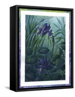 Water Iris-Fiona Stokes-Gilbert-Framed Stretched Canvas