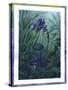 Water Iris-Fiona Stokes-Gilbert-Stretched Canvas