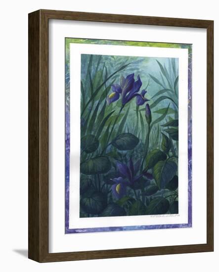 Water Iris-Fiona Stokes-Gilbert-Framed Giclee Print