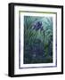 Water Iris-Fiona Stokes-Gilbert-Framed Giclee Print