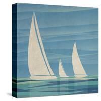 Water Journey I-Dan Meneely-Stretched Canvas