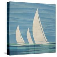 Water Journey II-Dan Meneely-Stretched Canvas