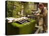 Water Ladles, Shaku, Nishiki Tenmangu Shrine, Kyoto City, Honshu, Japan-Christian Kober-Stretched Canvas