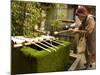 Water Ladles, Shaku, Nishiki Tenmangu Shrine, Kyoto City, Honshu, Japan-Christian Kober-Mounted Photographic Print