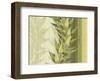 Water Leaves I-Mali Nave-Framed Giclee Print