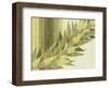 Water Leaves II-Mali Nave-Framed Giclee Print