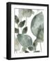 Water Leaves II-June Erica Vess-Framed Art Print