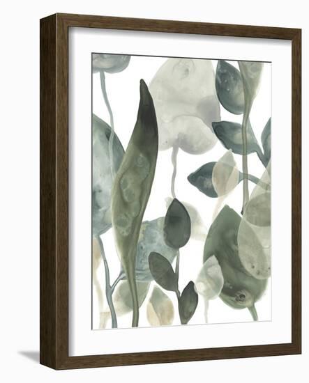 Water Leaves III-June Erica Vess-Framed Art Print