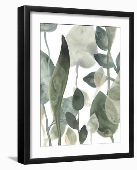 Water Leaves III-June Erica Vess-Framed Art Print