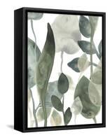 Water Leaves III-June Erica Vess-Framed Stretched Canvas