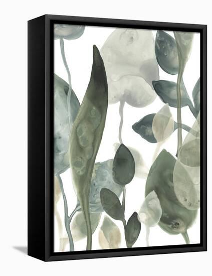 Water Leaves III-June Erica Vess-Framed Stretched Canvas