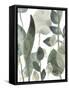 Water Leaves III-June Erica Vess-Framed Stretched Canvas