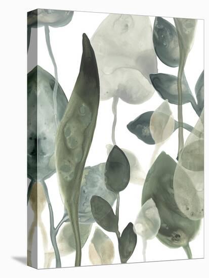 Water Leaves III-June Erica Vess-Stretched Canvas