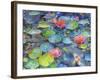 Water Lili-Marietta Cohen-Framed Giclee Print