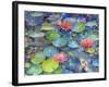 Water Lili-Marietta Cohen-Framed Giclee Print