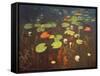 Water Lilies 1895-Isaak Ilyich Levitan-Framed Stretched Canvas