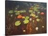 Water Lilies 1895-Isaak Ilyich Levitan-Stretched Canvas