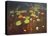 Water Lilies 1895-Isaak Ilyich Levitan-Stretched Canvas