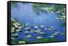 Water Lilies, 1906-Claude Monet-Framed Stretched Canvas