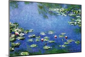 Water Lilies, 1906-Claude Monet-Mounted Art Print