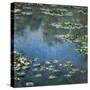 Water Lilies, 1906-Claude Monet-Stretched Canvas