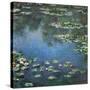 Water Lilies, 1906-Claude Monet-Stretched Canvas