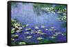 Water Lilies, 1906-Claude Monet-Framed Stretched Canvas