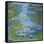 Water Lilies, 1907-Claude Monet-Framed Stretched Canvas