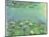 Water Lilies, 1914-Claude Monet-Mounted Premium Giclee Print