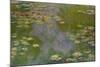 Water Lilies, 1919-Claude Monet-Mounted Giclee Print