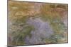 Water Lilies, 1919-Claude Monet-Mounted Giclee Print