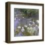 Water Lilies, 1922-Claude Monet-Framed Art Print