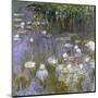 Water Lilies, 1922-Claude Monet-Mounted Art Print