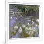 Water Lilies, 1922-Claude Monet-Framed Art Print