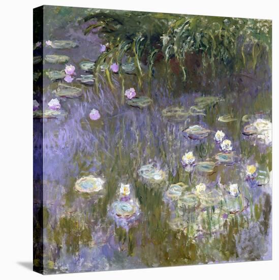 Water Lilies, 1922-Claude Monet-Stretched Canvas