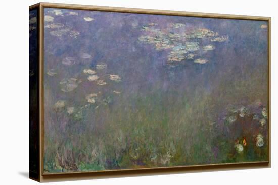 Water Lilies (Agapanthus), c.1915-26 (oil on canvas)-Claude Monet-Stretched Canvas