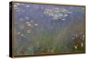 Water Lilies (Agapanthus), c.1915-26 (oil on canvas)-Claude Monet-Stretched Canvas