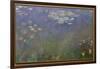 Water Lilies (Agapanthus), c.1915-26 (oil on canvas)-Claude Monet-Framed Giclee Print