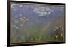 Water Lilies (Agapanthus), c.1915-26 (oil on canvas)-Claude Monet-Framed Giclee Print