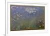 Water Lilies (Agapanthus), c.1915-26 (oil on canvas)-Claude Monet-Framed Giclee Print