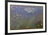 Water Lilies (Agapanthus), c.1915-26 (oil on canvas)-Claude Monet-Framed Giclee Print