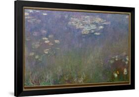 Water Lilies (Agapanthus), c.1915-26 (oil on canvas)-Claude Monet-Framed Giclee Print