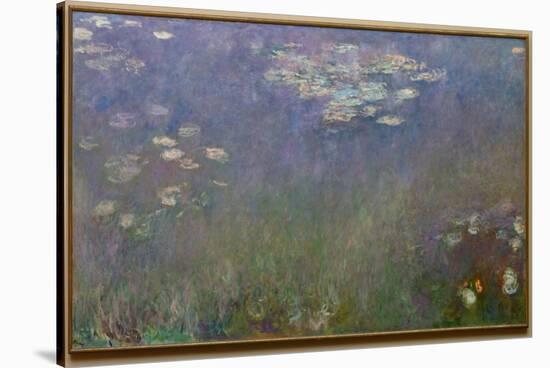 Water Lilies (Agapanthus), c.1915-26 (oil on canvas)-Claude Monet-Stretched Canvas