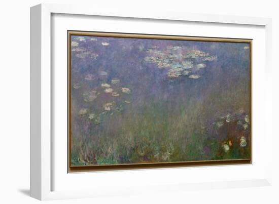 Water Lilies (Agapanthus), c.1915-26 (oil on canvas)-Claude Monet-Framed Giclee Print